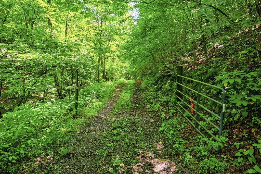 Tbd Goodpasture Hollow Road Marion, VA 24354 - Photo 4 of 38 Gallery Image 4