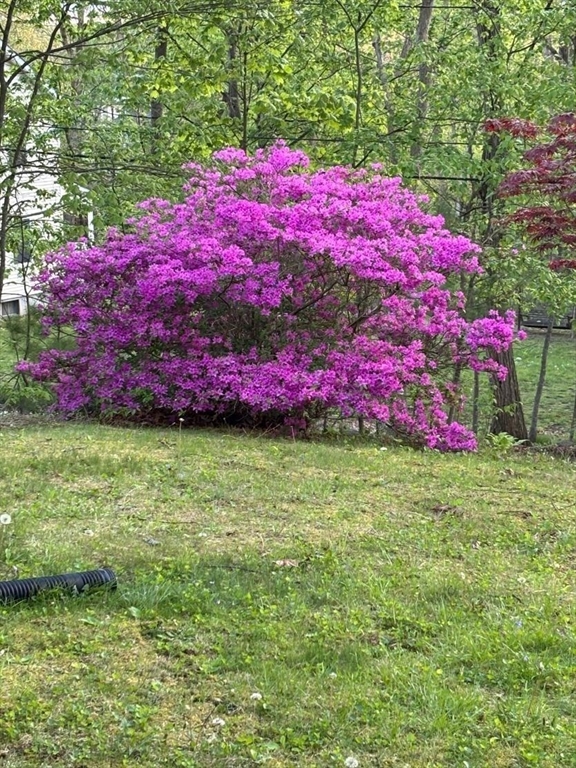 43 Locust Street Bellingham, MA 02019 - Photo 23 of 25