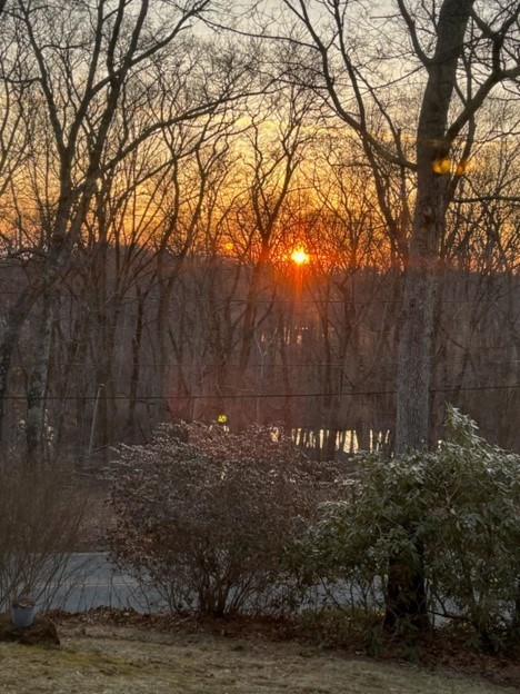 43 Locust Street Bellingham, MA 02019 - Photo 25 of 25