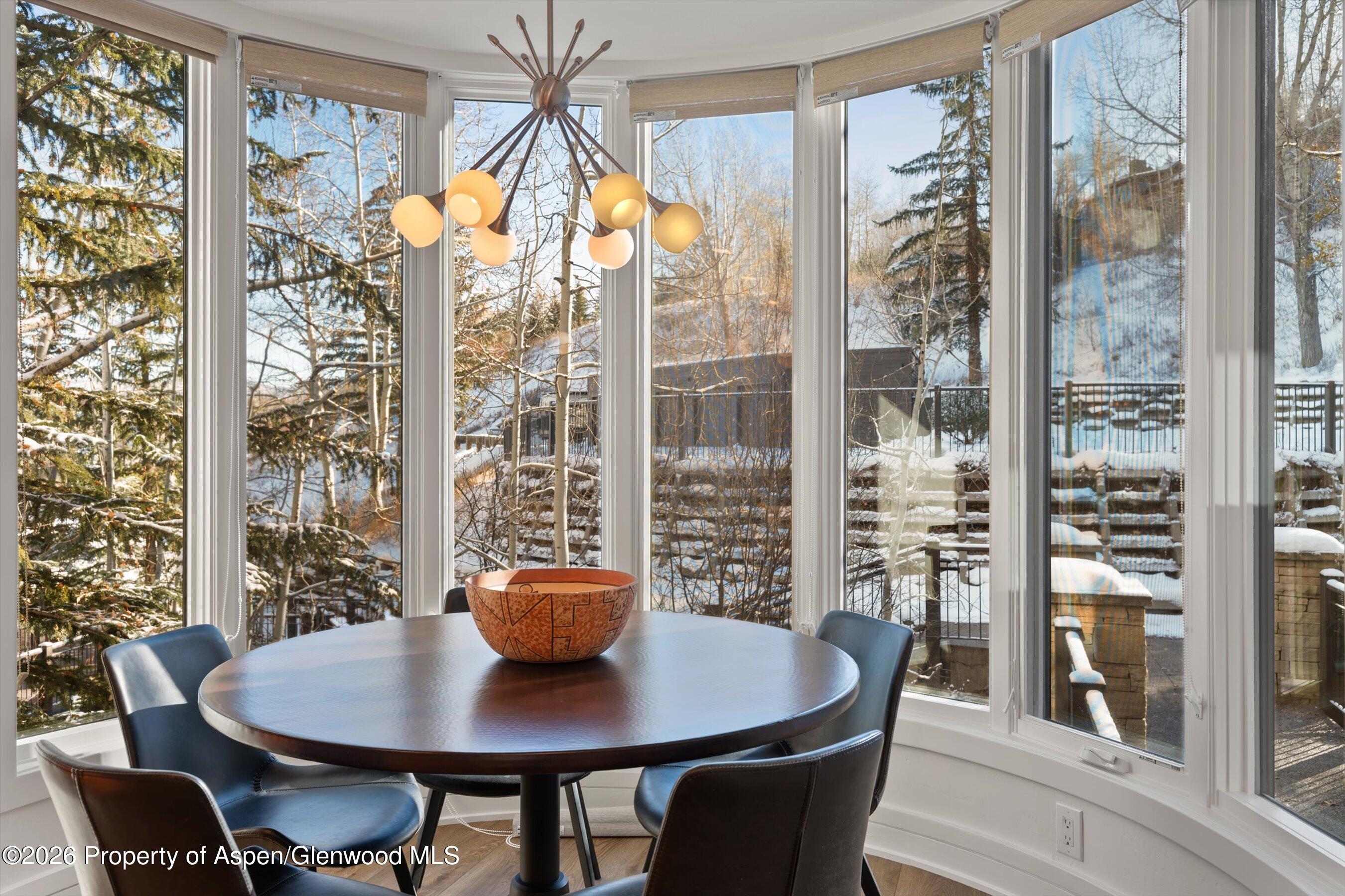 381 Ridge Road, Unit A5 Snowmass Village, CO 81615 - Photo 12 of 52 38-034-381RidgeRdA5_24111319