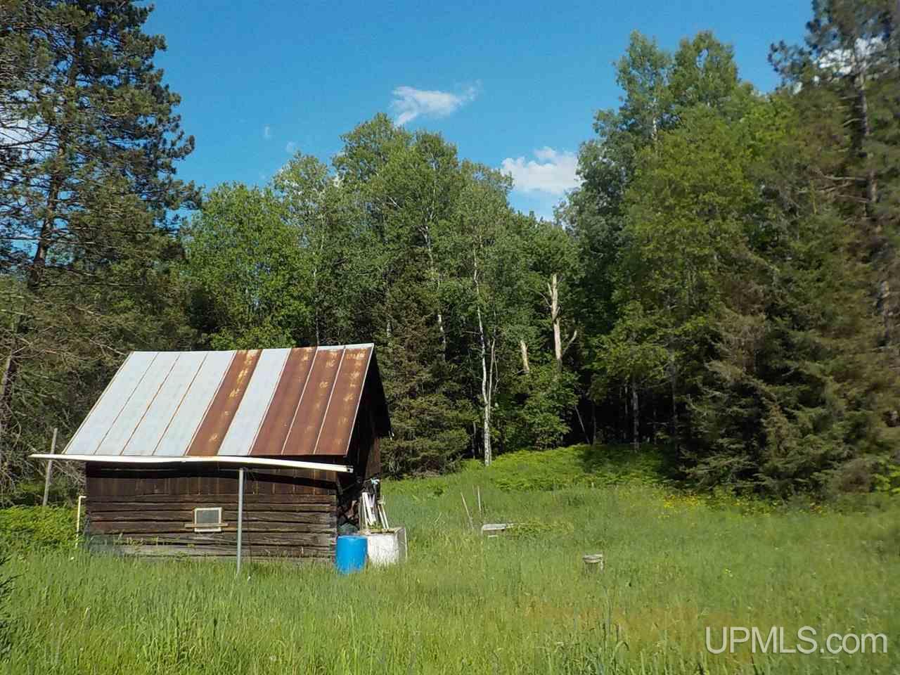 178 Carlson Road Crystal Falls, MI 49920 - Photo 30 of 37