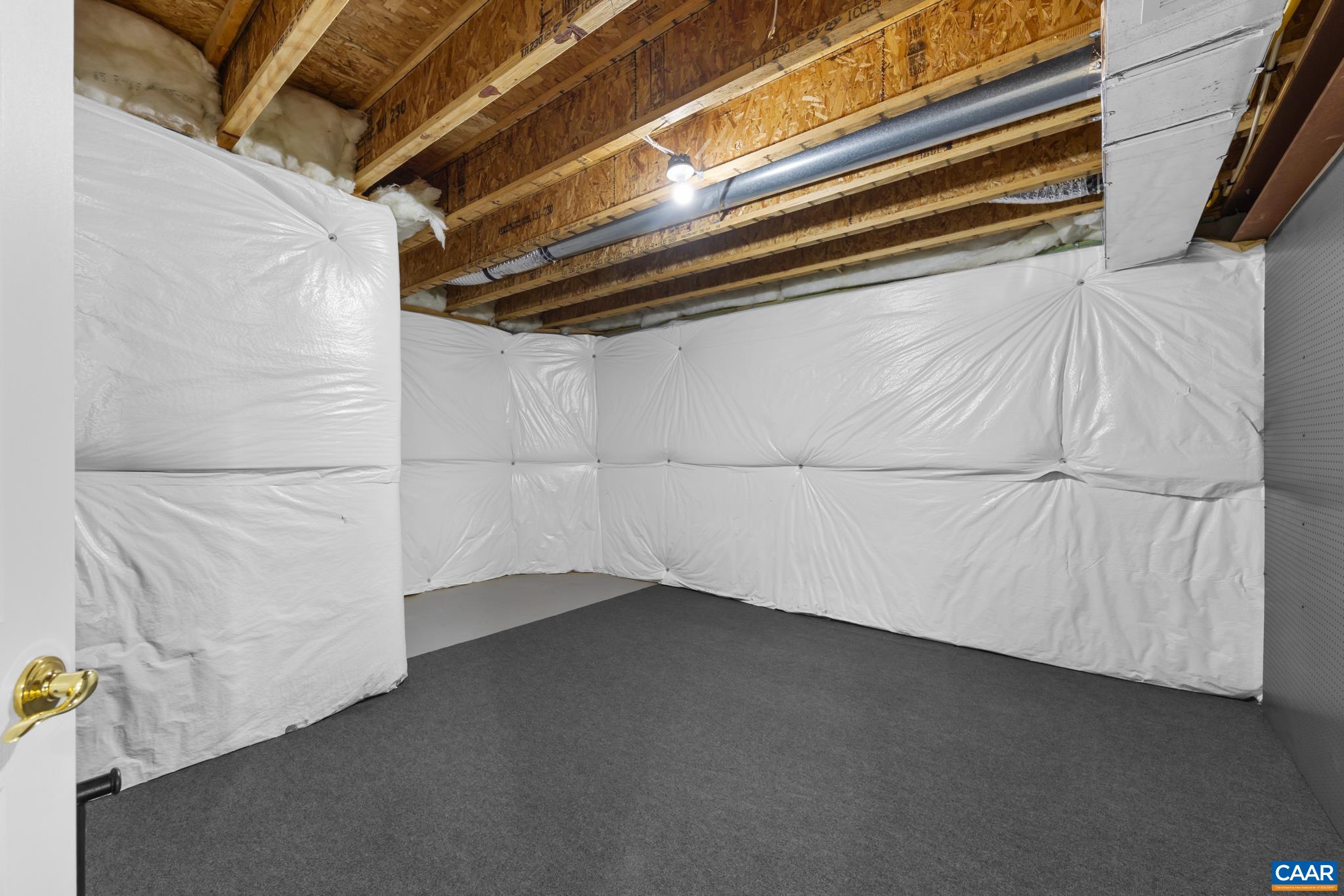 598 Mistland Trail Ruckersville, VA 22968 - Photo 40 of 69 Or extra storage?