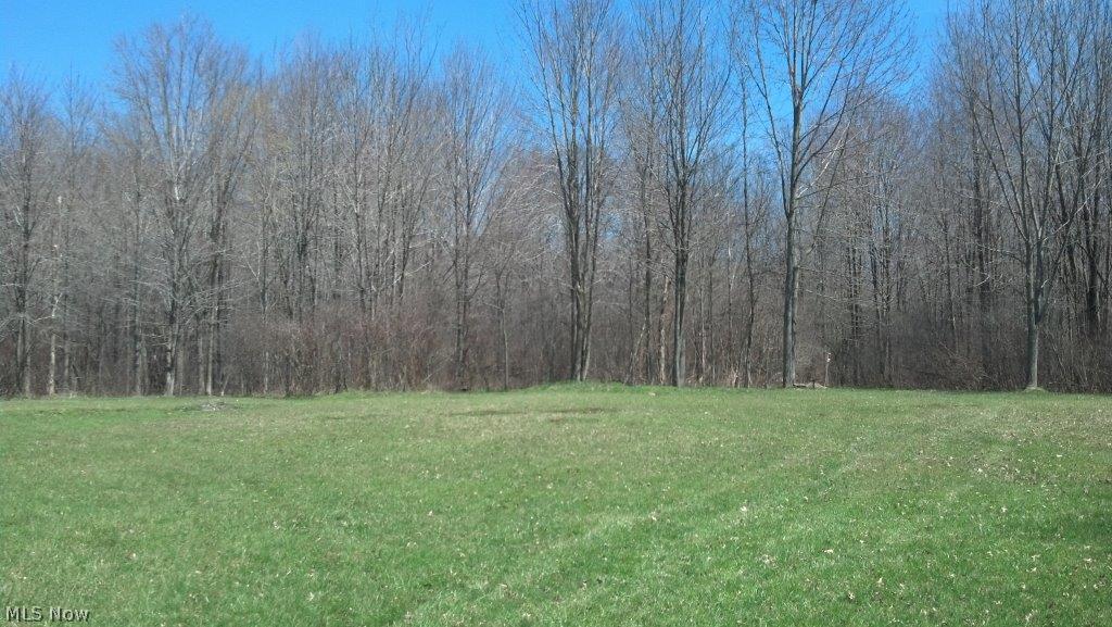 8700 Peck Road Mantua, OH 44255 - Photo 8 of 22 Gallery Image 8