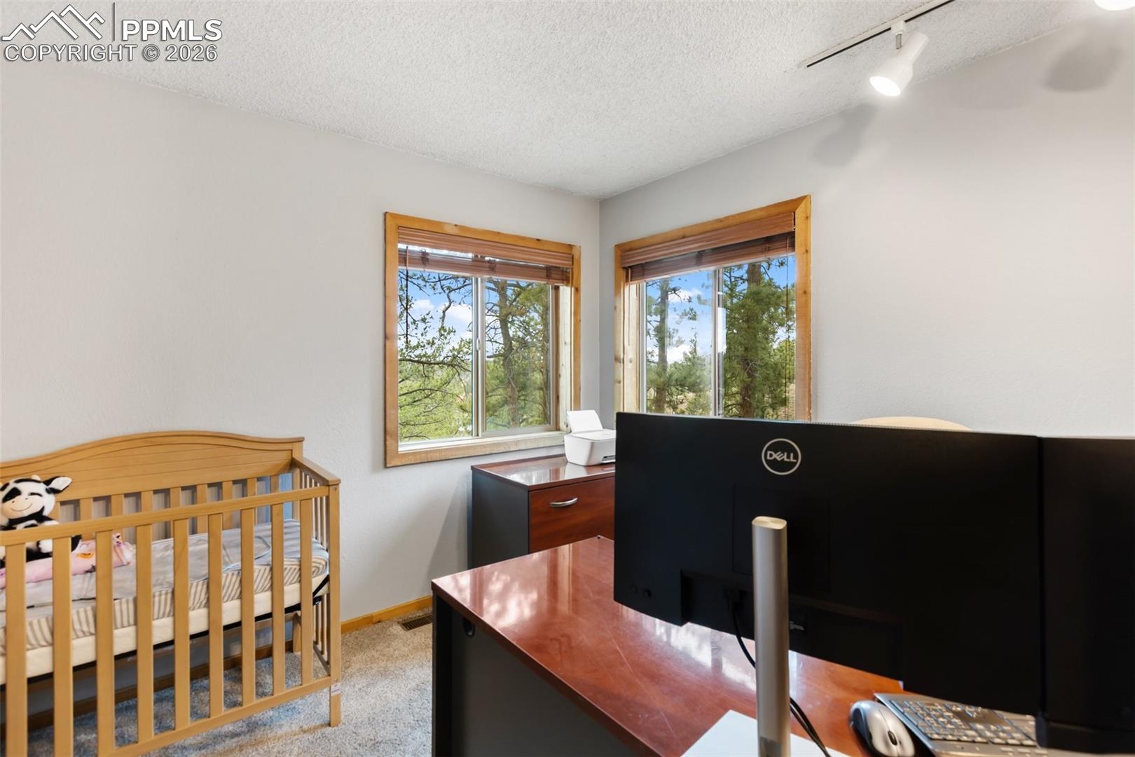 164 Spring Valley Circle Divide, CO 80814 - Photo 31 of 49 Gallery Image 31