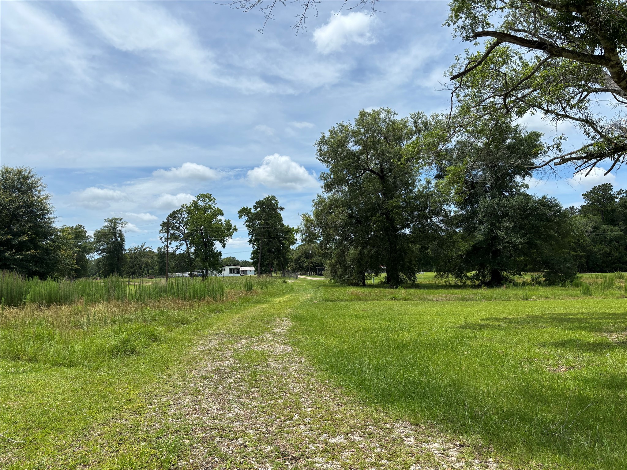 35599 State Highway South Buna, TX 77612 - Photo 7 of 40 a view of a golf course with a lake