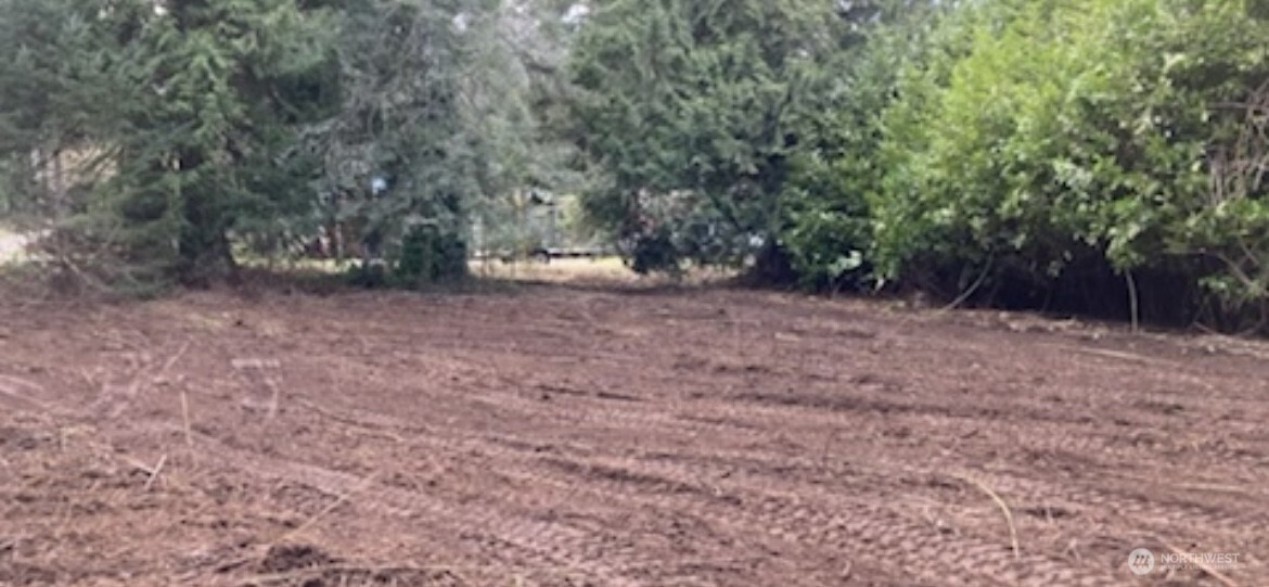 192 Donegal Drive Point Roberts, WA 98281 - Photo 12 of 35 a view of a yard with trees
