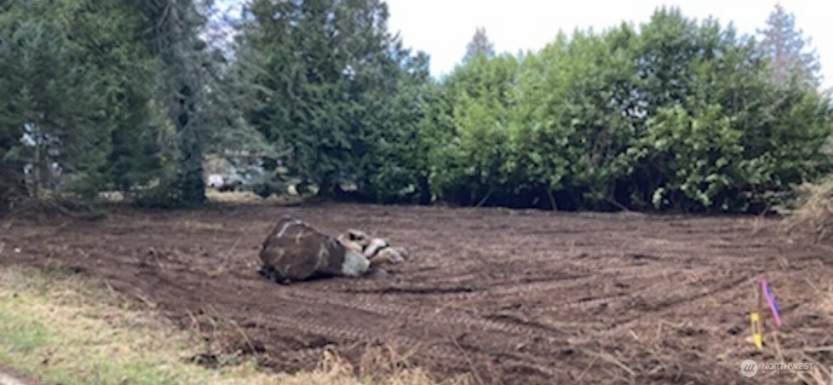 192 Donegal Drive Point Roberts, WA 98281 - Photo 13 of 35 a backyard of a house with lots of green space