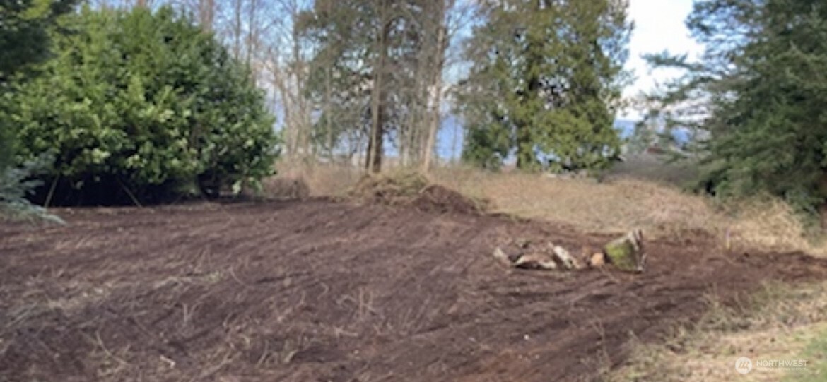 192 Donegal Drive Point Roberts, WA 98281 - Photo 14 of 35 a view of a backyard with large trees