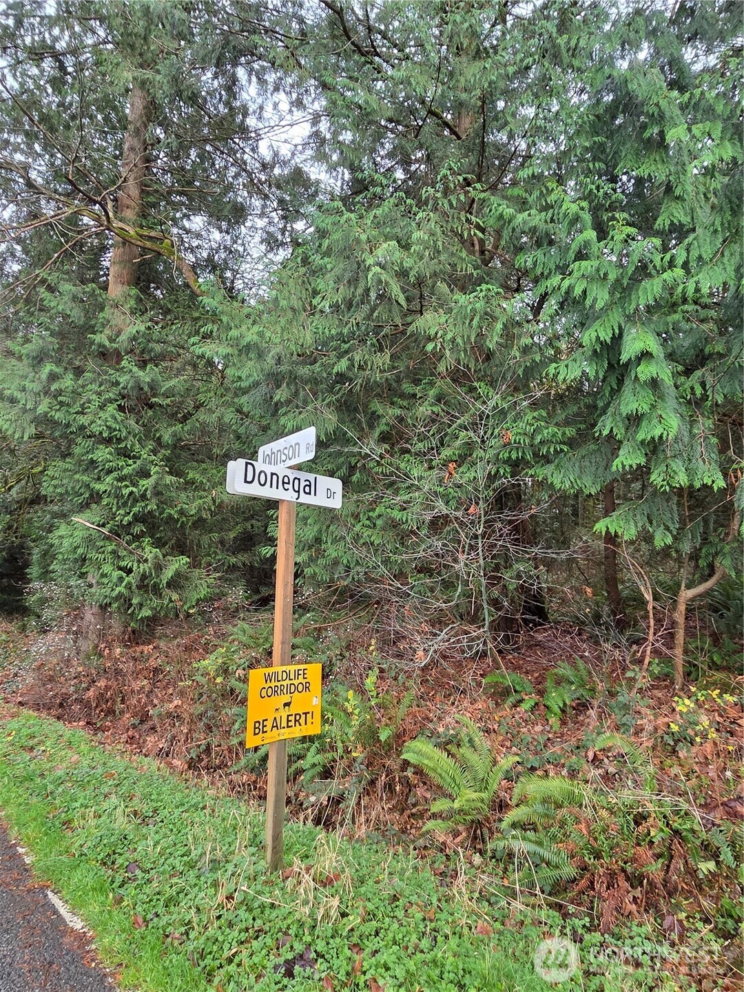 192 Donegal Drive Point Roberts, WA 98281 - Photo 19 of 35 a street sign that is sitting in the middle of a yard