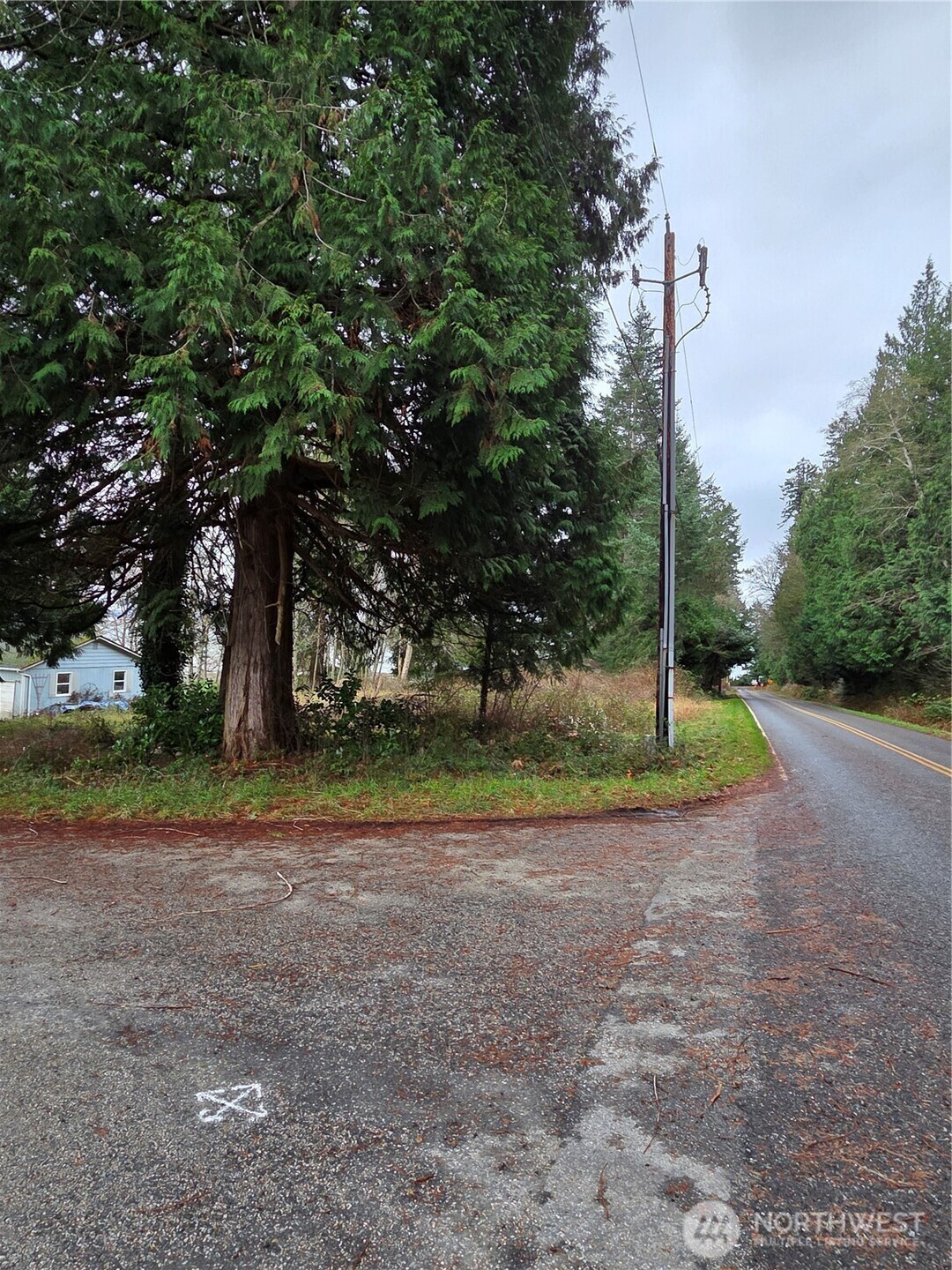 192 Donegal Drive Point Roberts, WA 98281 - Photo 20 of 35 a view of a house with a backyard and trees