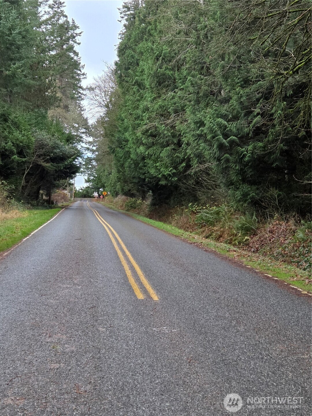 192 Donegal Drive Point Roberts, WA 98281 - Photo 21 of 35 a view of a yard with a trees