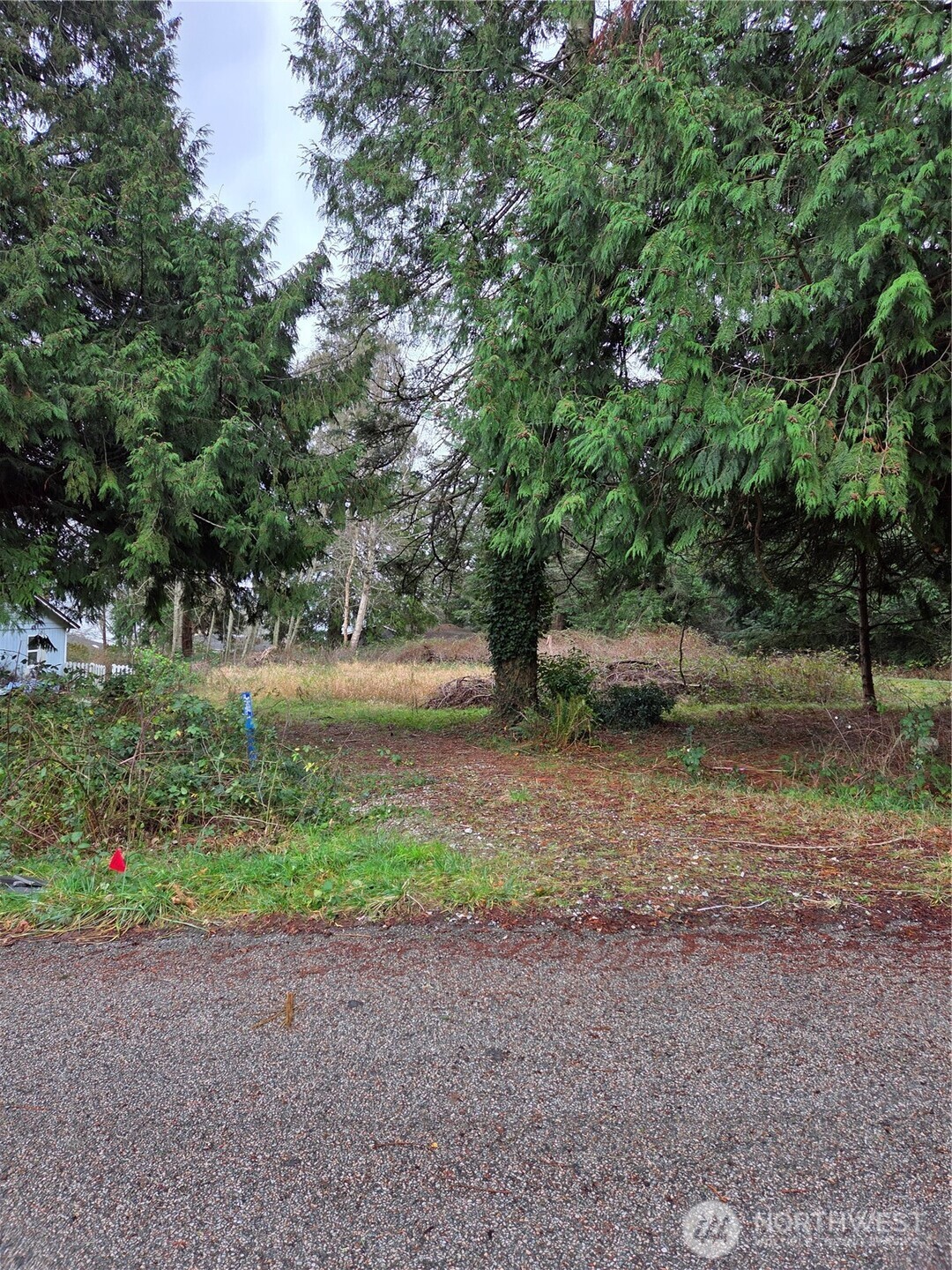 192 Donegal Drive Point Roberts, WA 98281 - Photo 22 of 35 a view of backyard with green space