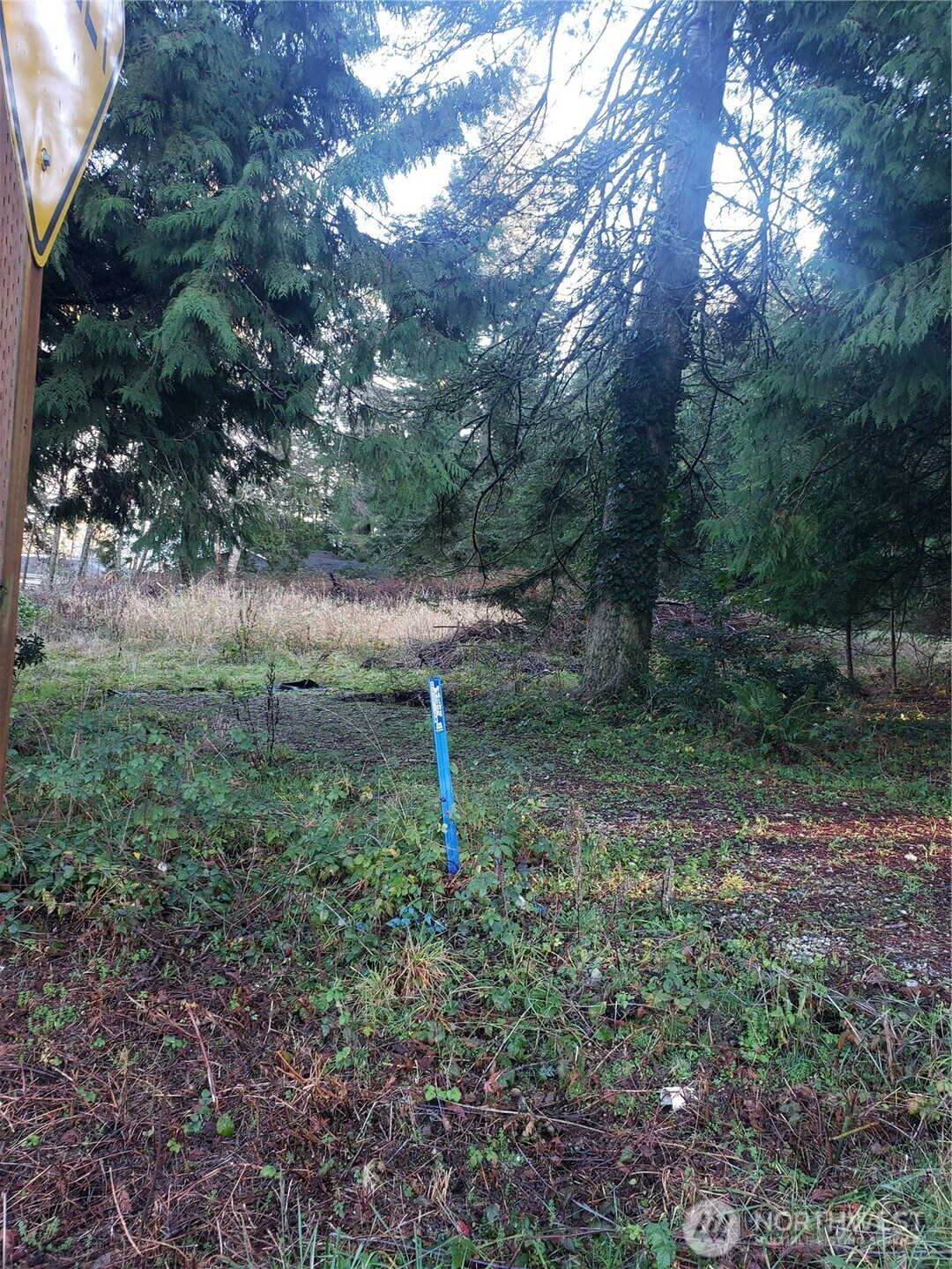 192 Donegal Drive Point Roberts, WA 98281 - Photo 23 of 35 a backyard of a house with lots of green space