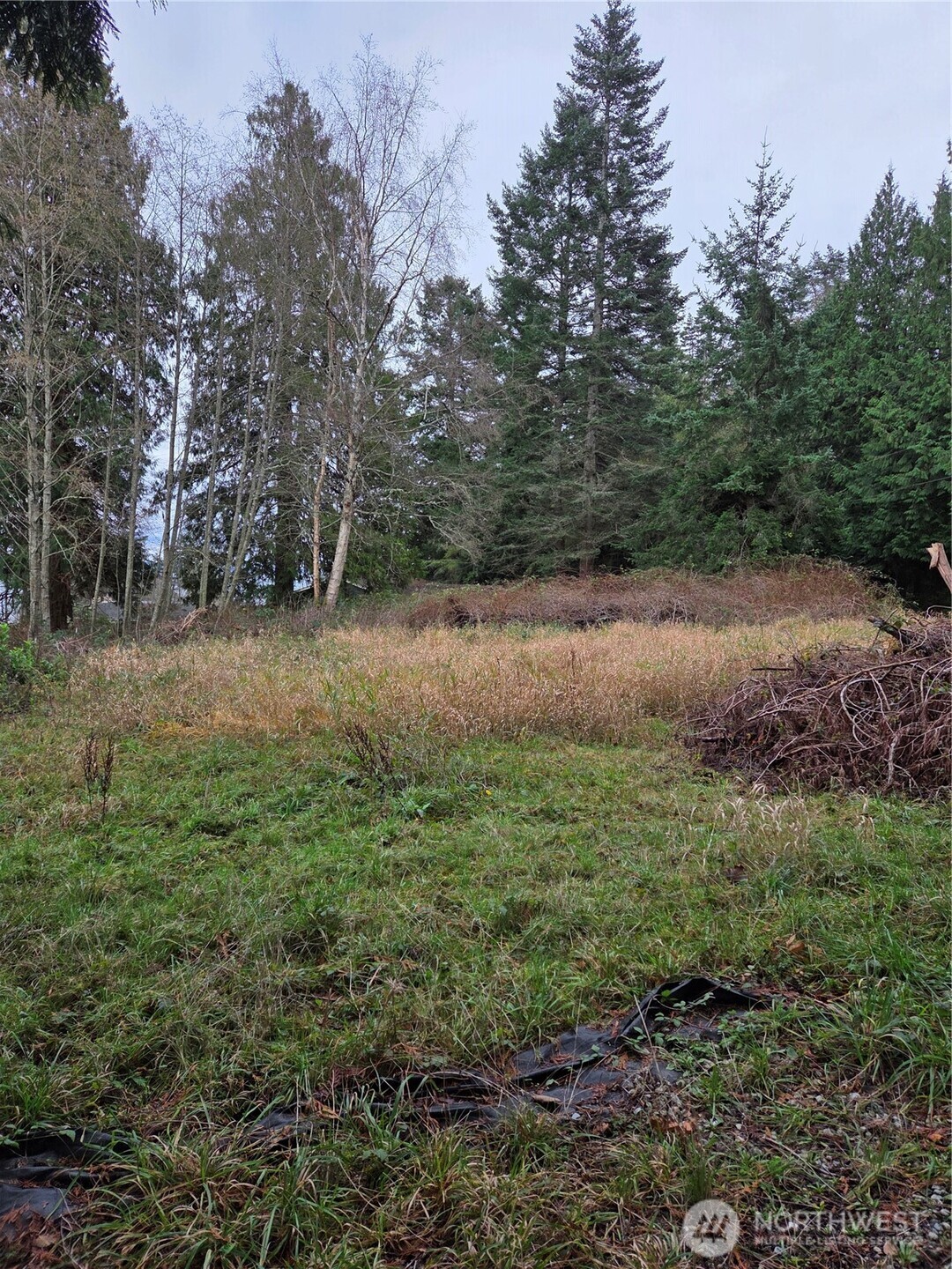 192 Donegal Drive Point Roberts, WA 98281 - Photo 24 of 35 a view of outdoor space with trees all around