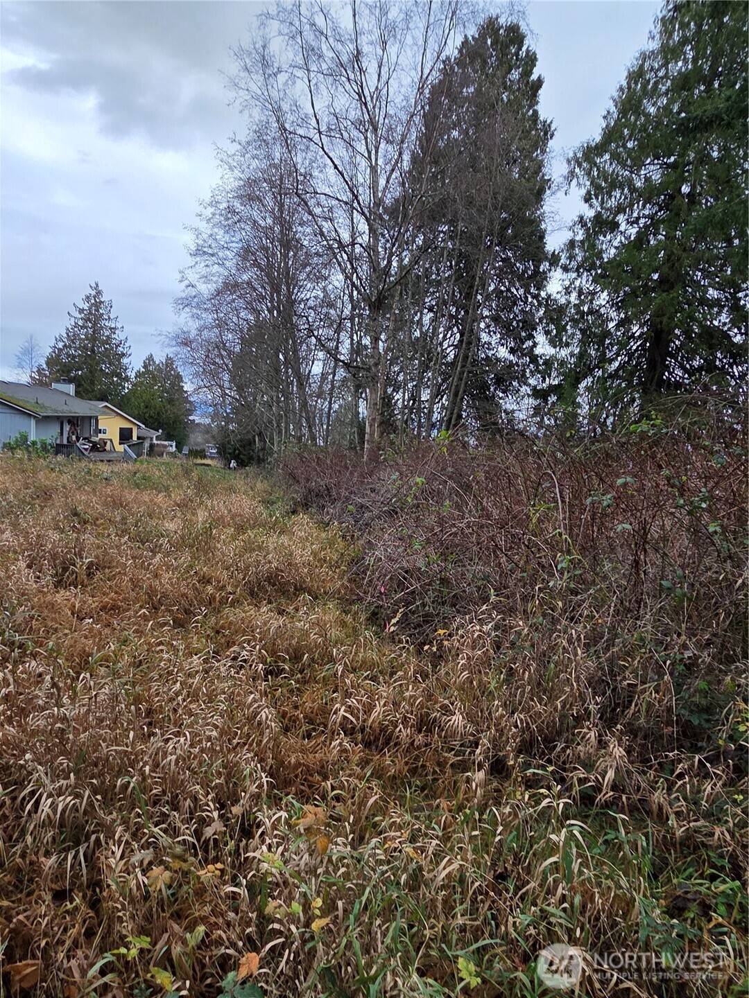 192 Donegal Drive Point Roberts, WA 98281 - Photo 25 of 35 a view of a yard with large trees