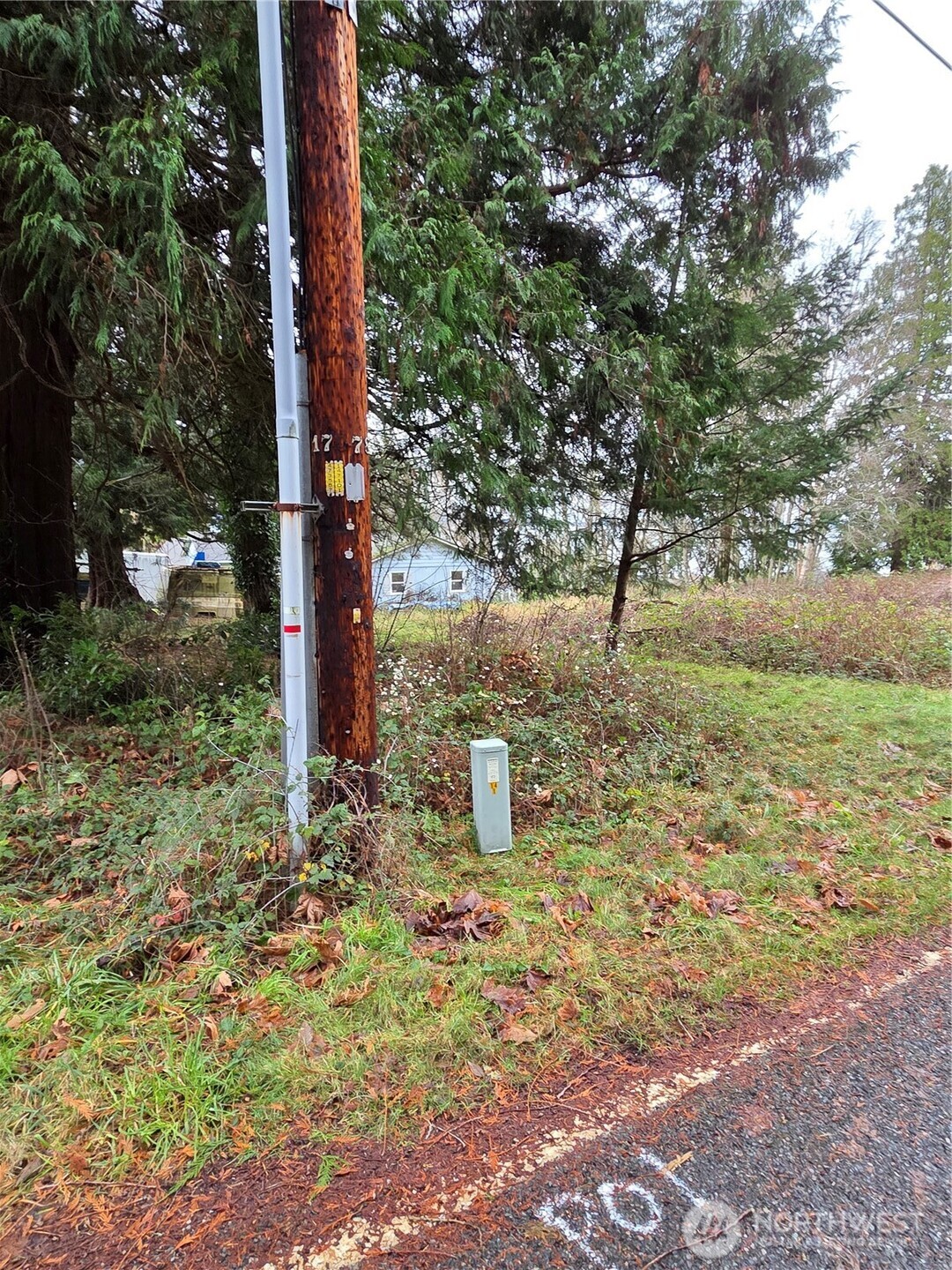 192 Donegal Drive Point Roberts, WA 98281 - Photo 26 of 35 a backyard of a house with lots of green space