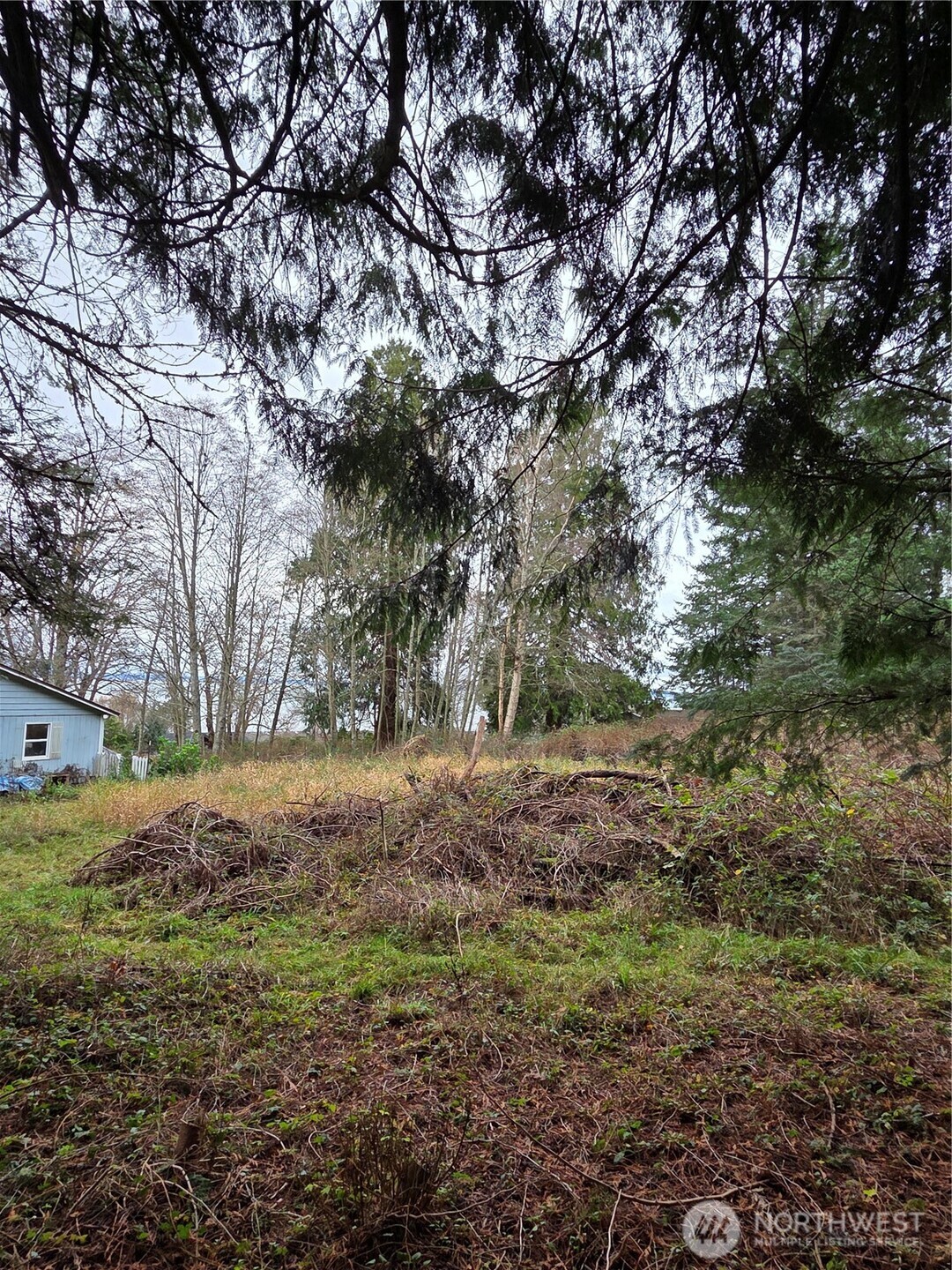 192 Donegal Drive Point Roberts, WA 98281 - Photo 27 of 35 a fire hydrant in the middle of a field