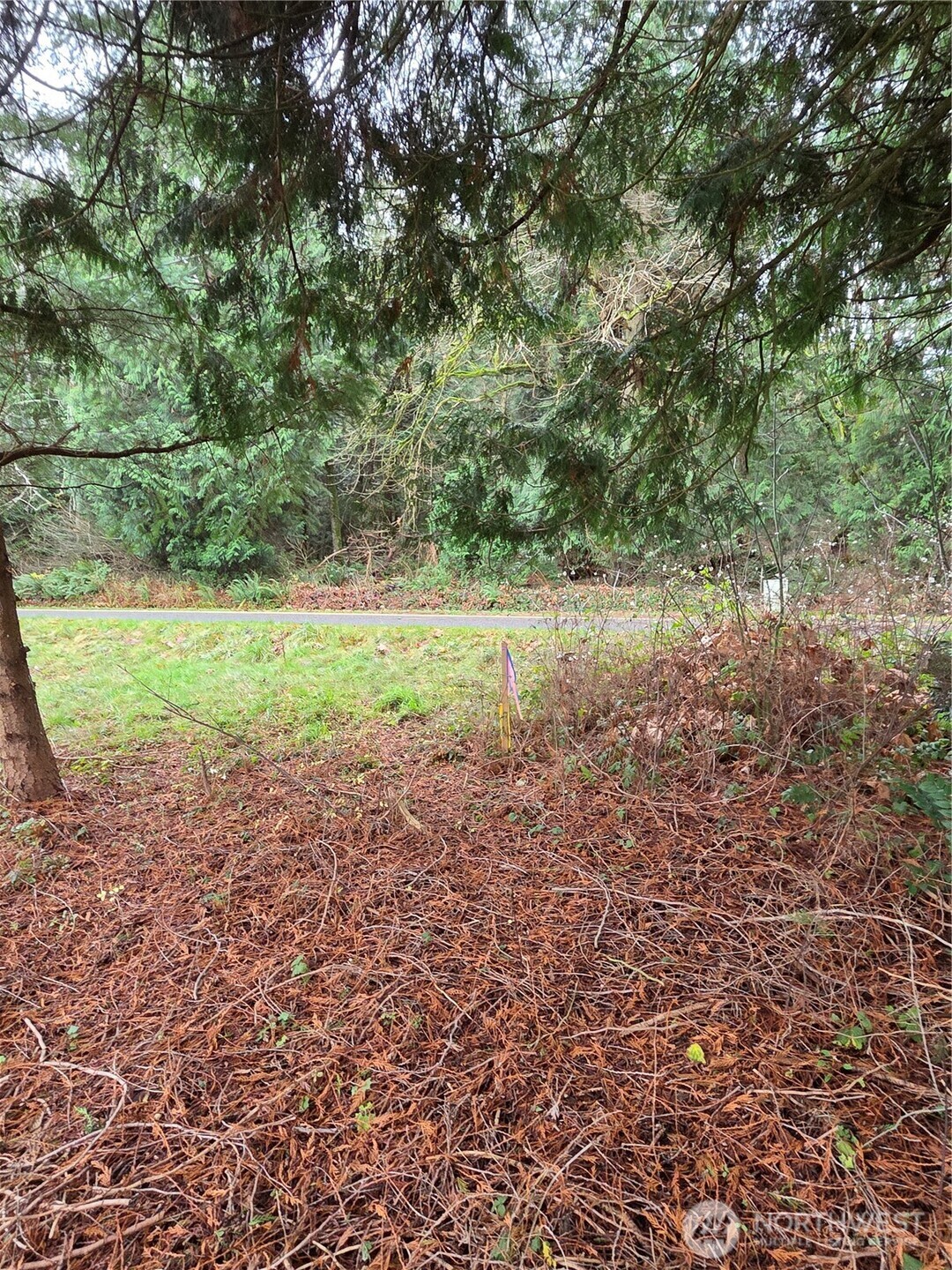 192 Donegal Drive Point Roberts, WA 98281 - Photo 28 of 35 a view of outdoor space and yard