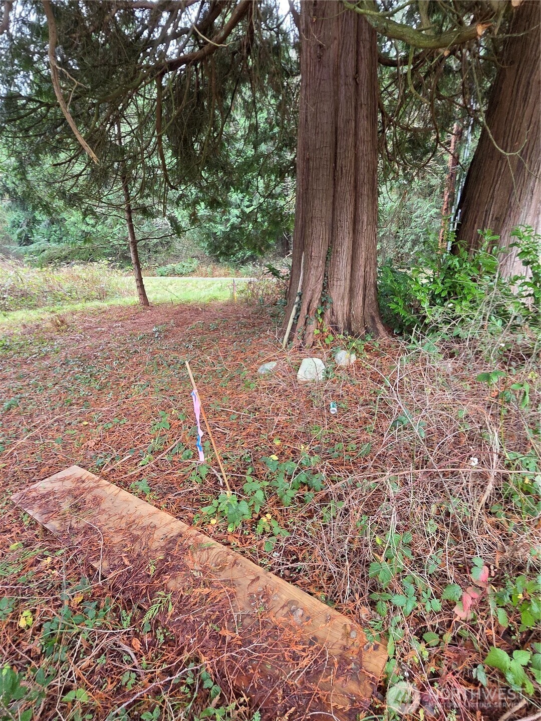 192 Donegal Drive Point Roberts, WA 98281 - Photo 29 of 35 a view of outdoor space with deck and yard