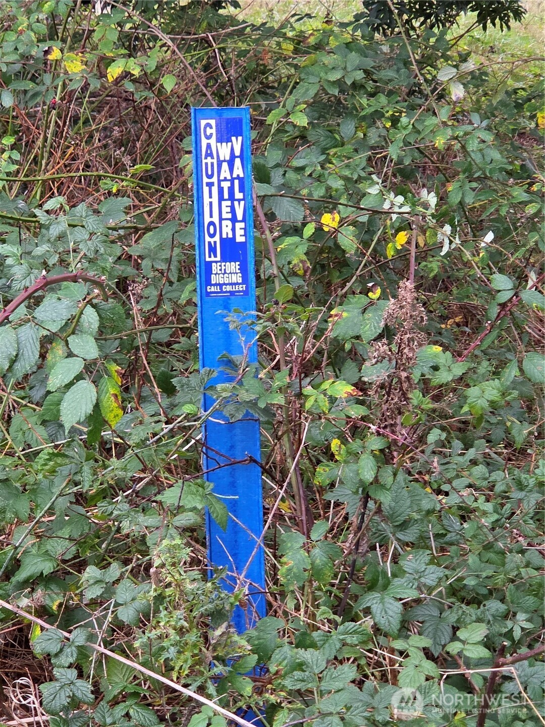 192 Donegal Drive Point Roberts, WA 98281 - Photo 30 of 35 a sign that is sitting in a tree