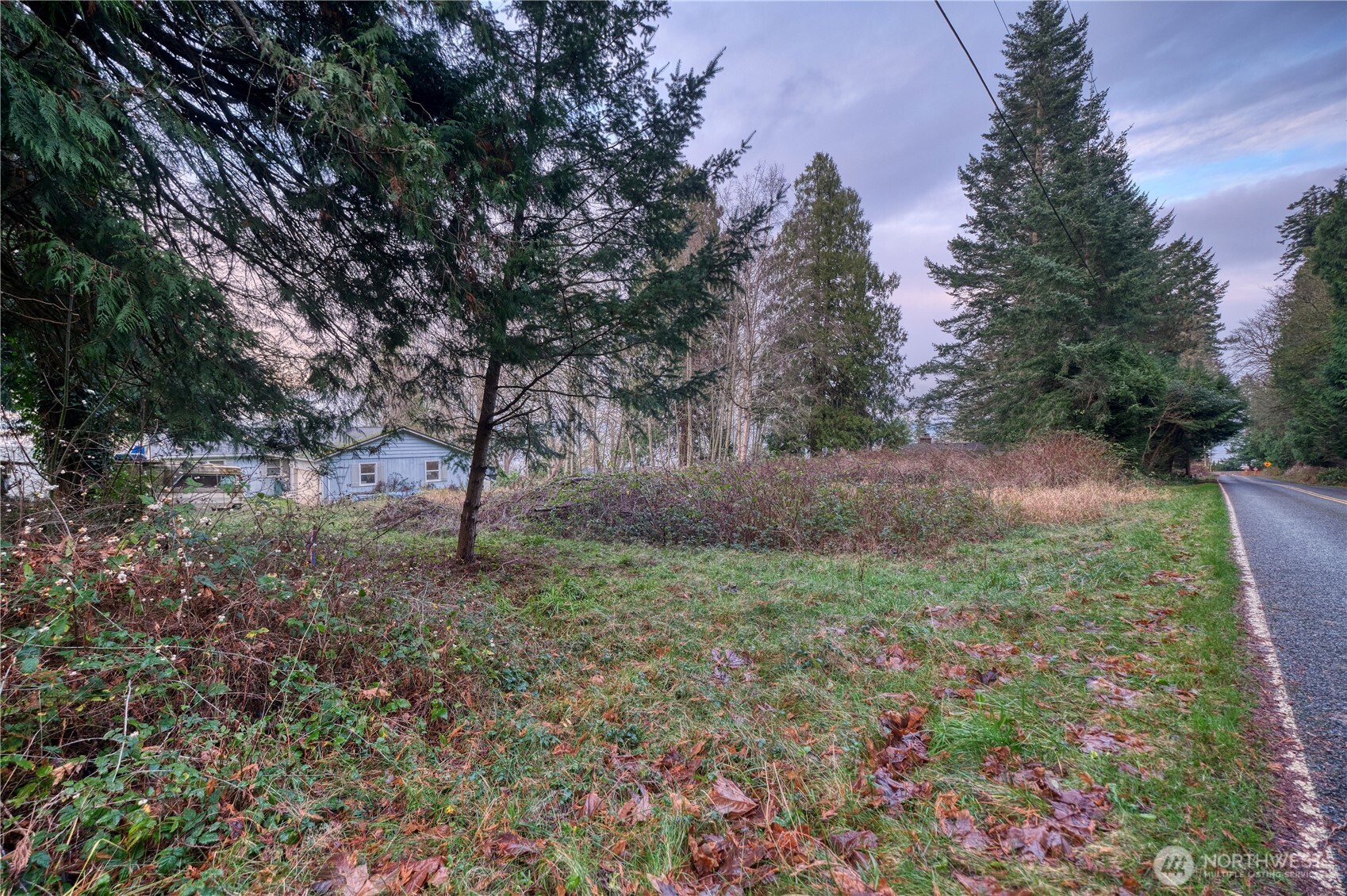 192 Donegal Drive Point Roberts, WA 98281 - Photo 32 of 35 a view of a forest with trees in the background