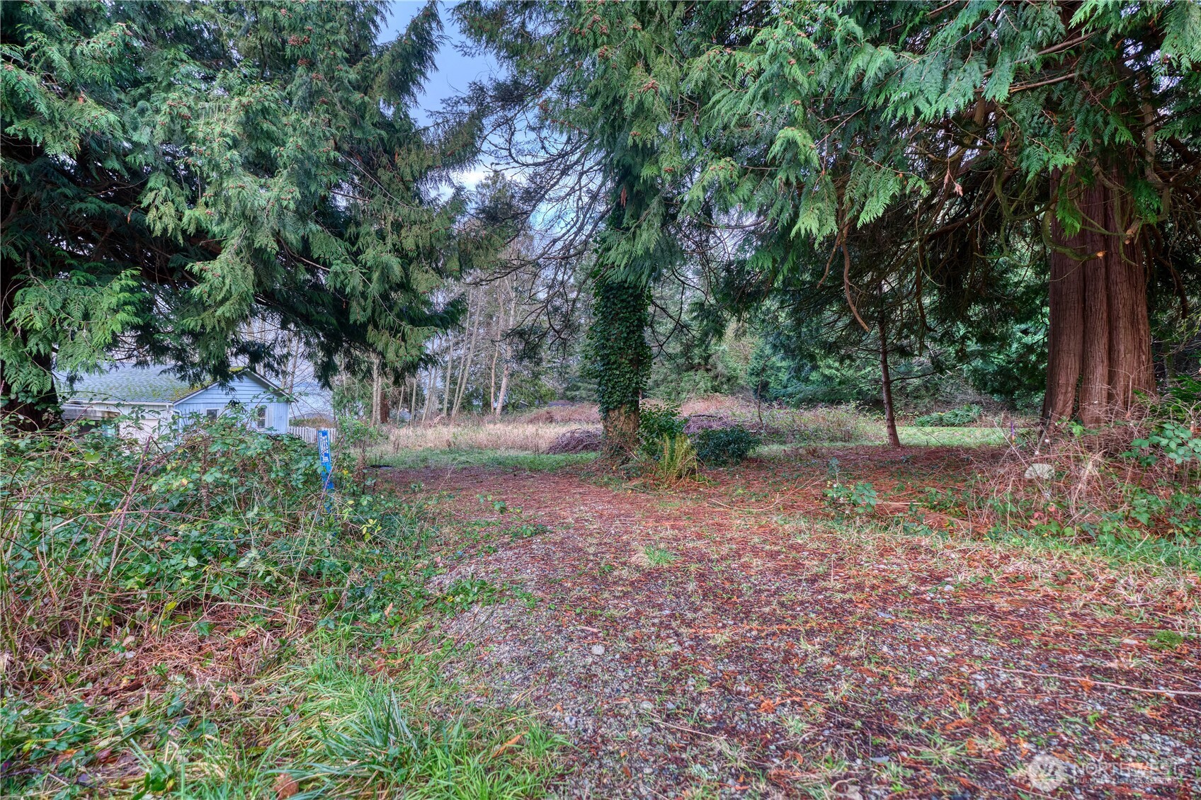 192 Donegal Drive Point Roberts, WA 98281 - Photo 33 of 35 a backyard of a house with lots of green space