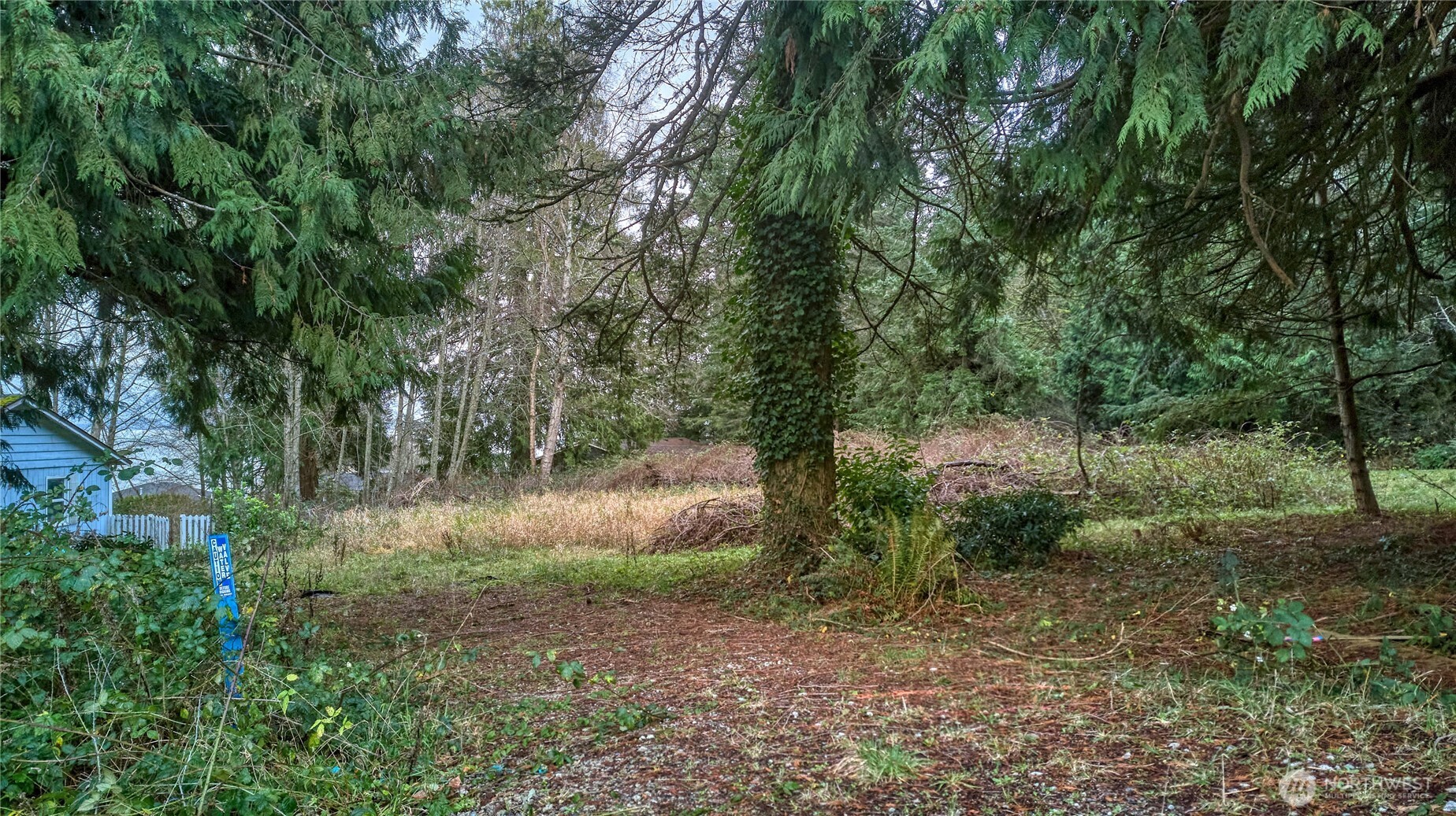 192 Donegal Drive Point Roberts, WA 98281 - Photo 35 of 35 a view of a forest with trees in the background
