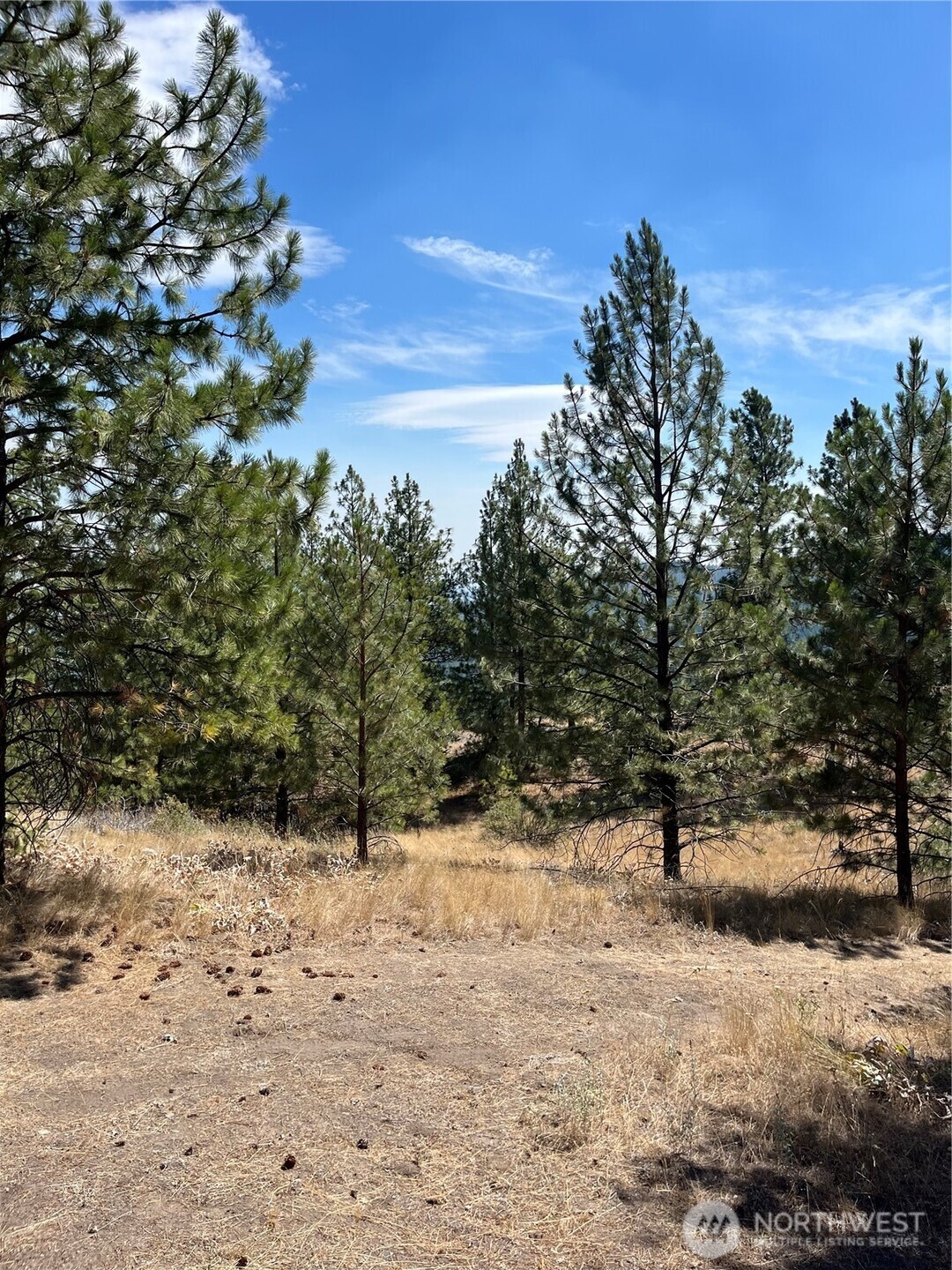 20 Doe Mountain Road Tonasket, WA 98855 - Photo 13 of 21 Gallery Image 13