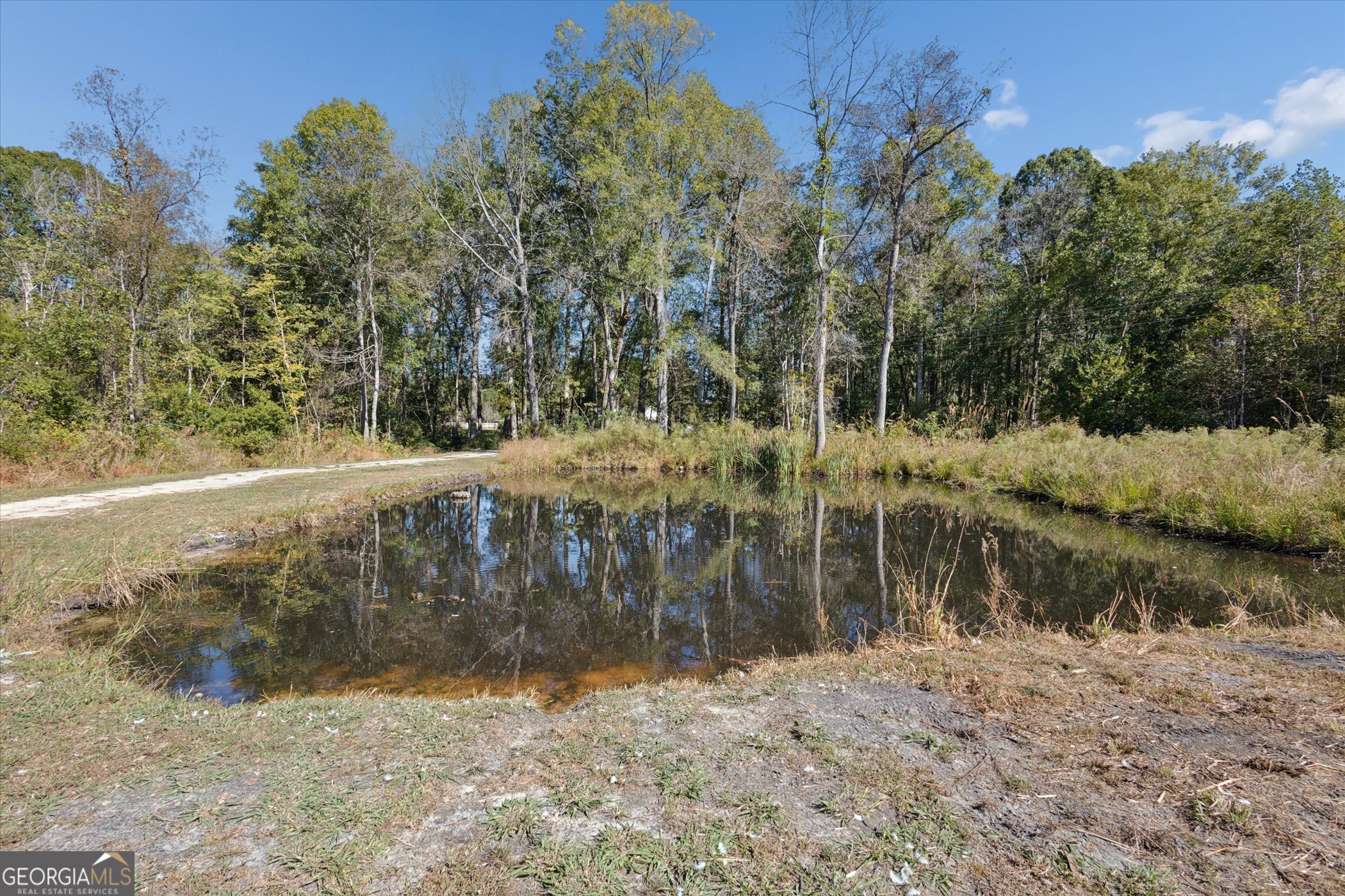 4031 Mud Road Brooklet, GA 30415 - Photo 44 of 49 a view of a yard
