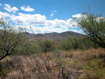 200 Canyon Pass Court Rio Rico, AZ 85648 - Photo 2 of 7