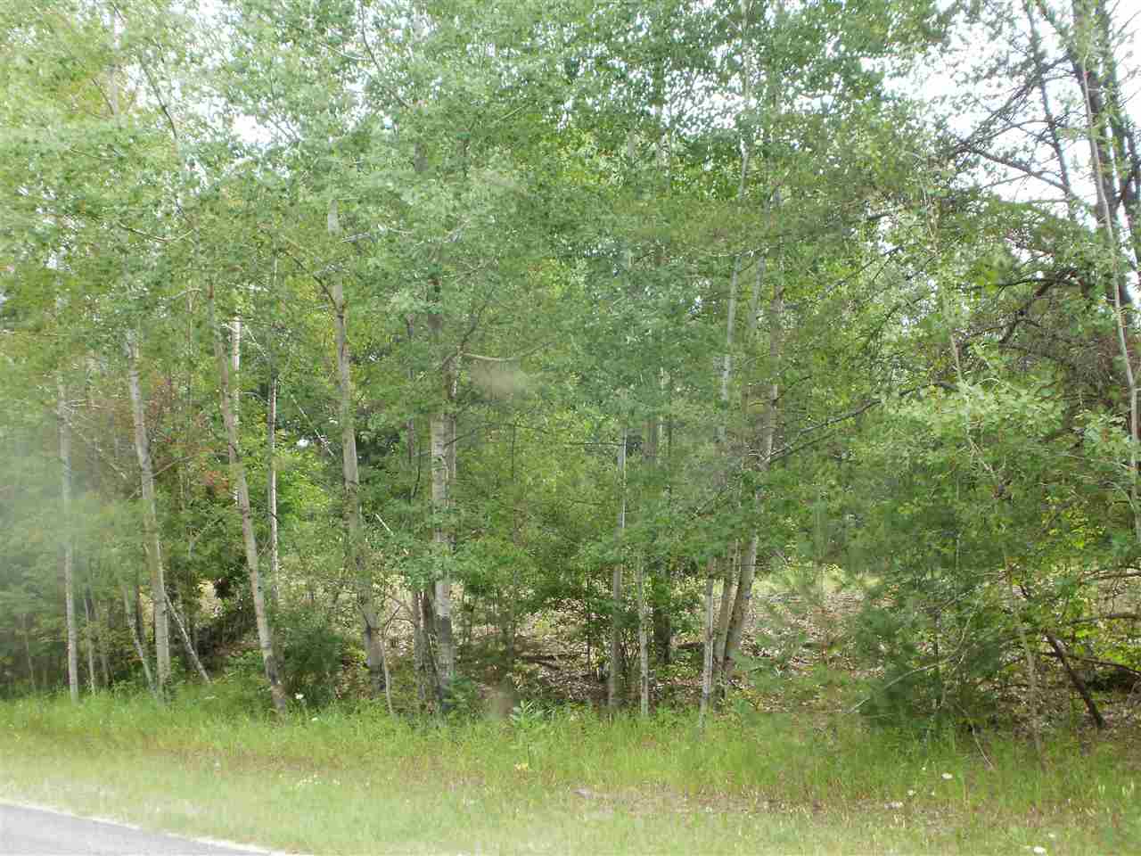 Raymond Road Leroy, MI 49655 - Photo 8 of 15 1866181-7.JPG