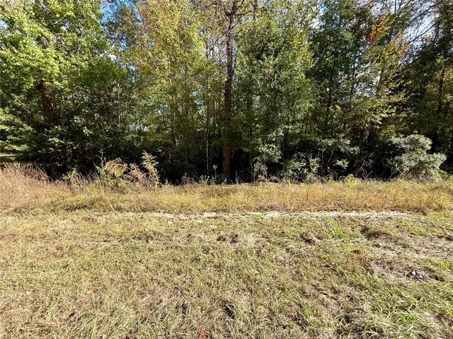a view of a yard covered in snow