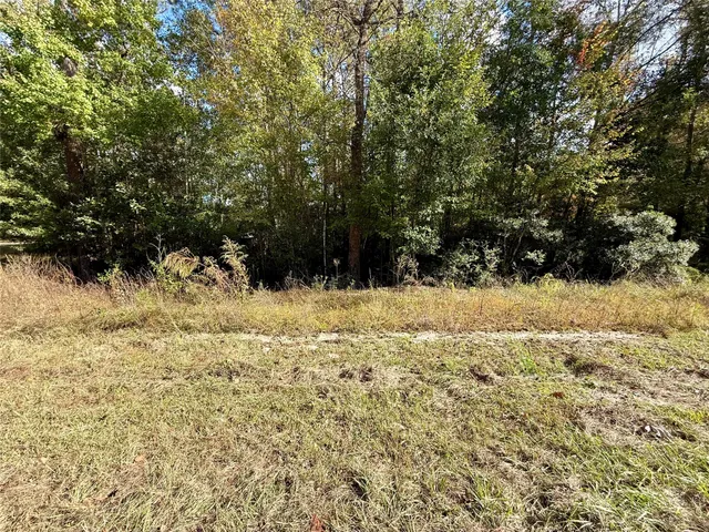 a view of a yard covered in snow