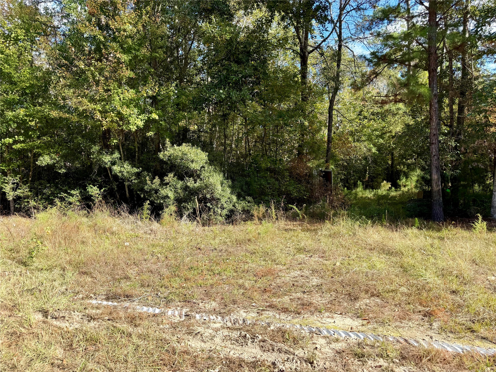 198 Bear Track Trail Livingston, TX 77351 - Photo 4 of 8 a view of a lake view