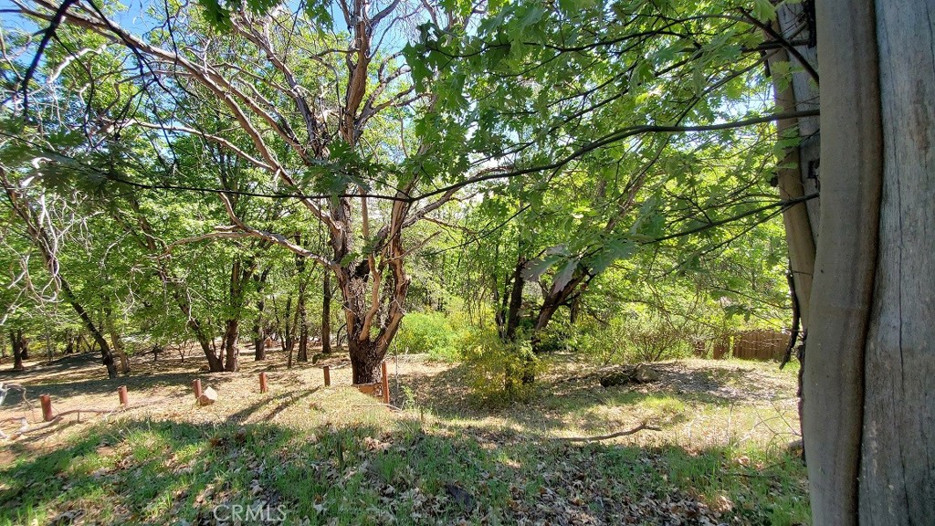 11890 Loch Lomond Road Middletown, CA 95461 - Photo 11 of 12