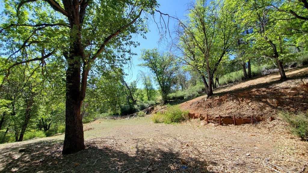 11890 Loch Lomond Road Middletown, CA 95461 - Photo 12 of 12