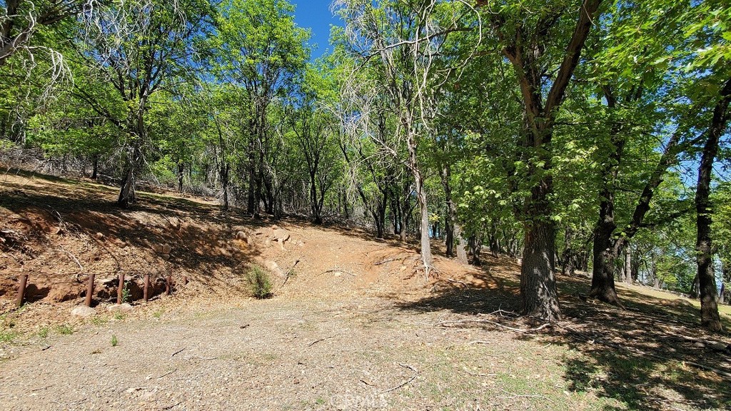 11890 Loch Lomond Road Middletown, CA 95461 - Photo 7 of 12