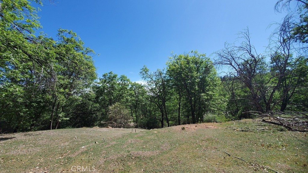 11890 Loch Lomond Road Middletown, CA 95461 - Photo 8 of 12