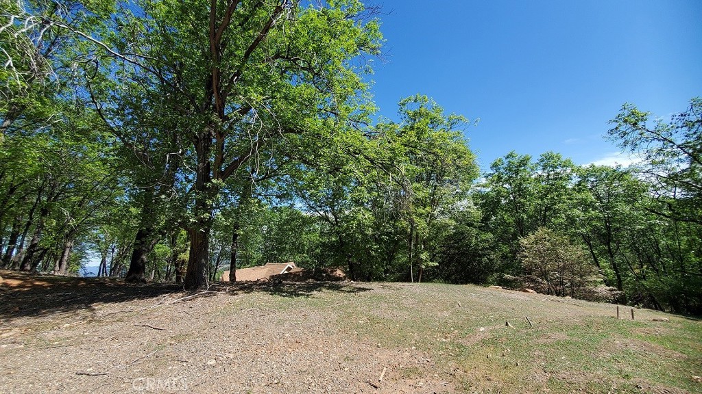 11890 Loch Lomond Road Middletown, CA 95461 - Photo 9 of 12