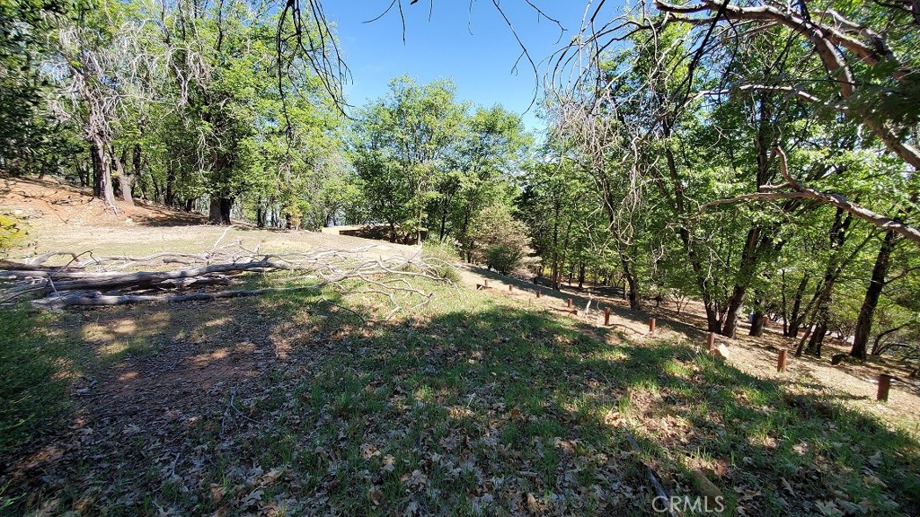 11890 Loch Lomond Road Middletown, CA 95461 - Photo 10 of 12