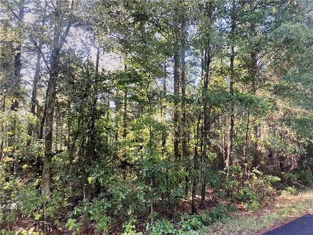 $40,000 | Tbd Goldonna Road, Goldonna, LA 71031