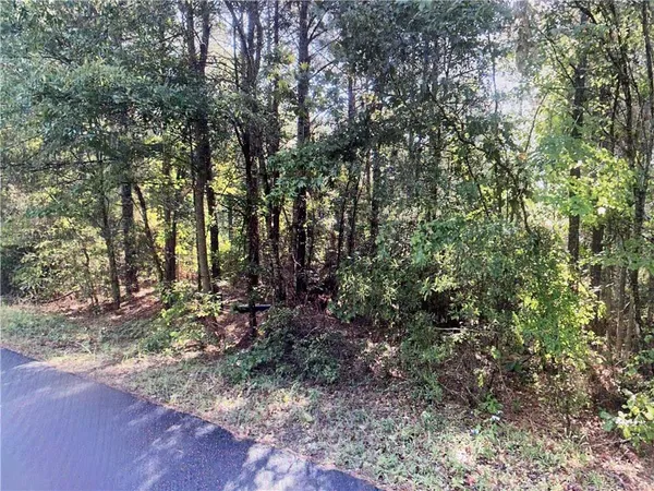 $40,000 | Tbd Goldonna Road, Goldonna, LA 71031