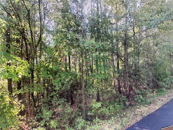 $40,000 | Tbd Goldonna Road, Goldonna, LA 71031