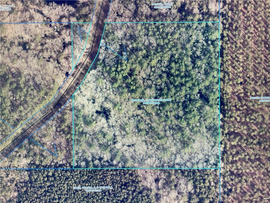 Tbd Goldonna Road Goldonna, LA 71031 - Photo 5 of 6