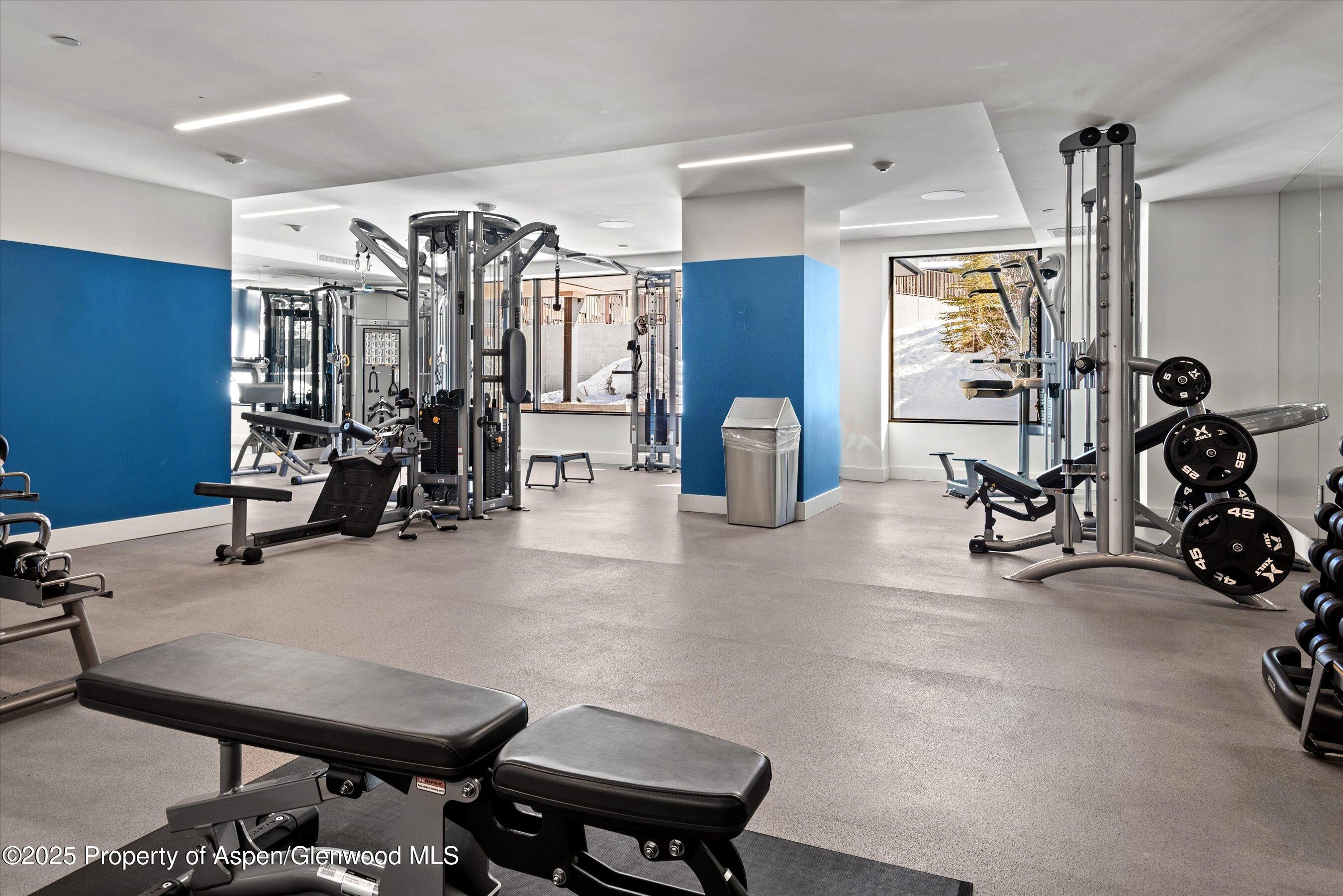 77 Wood Road, Unit 303 Snowmass Village, CO 81615 - Photo 26 of 43 a view of a room with gym equipment