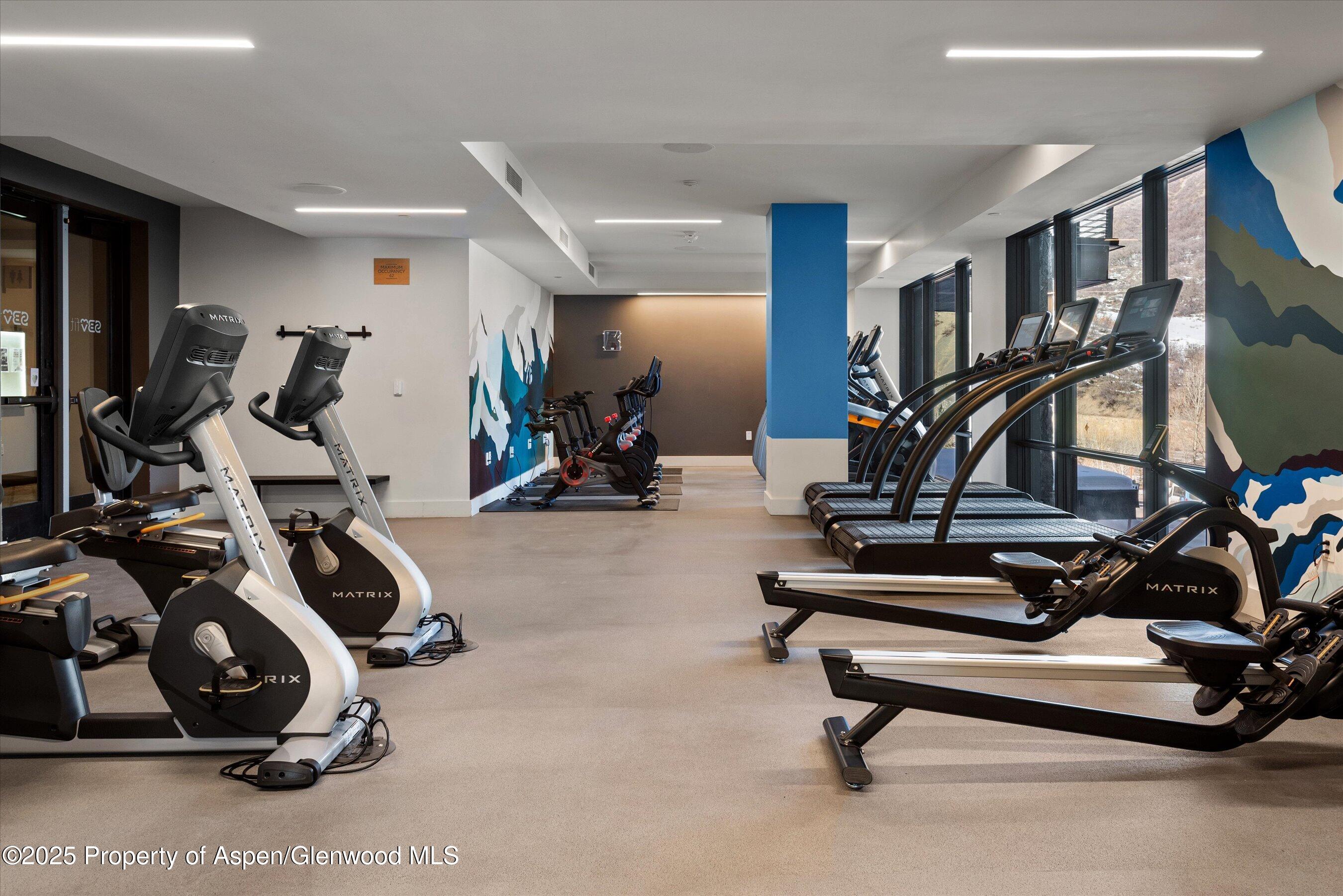 77 Wood Road, Unit 303 Snowmass Village, CO 81615 - Photo 27 of 43 a view of a room with gym equipment