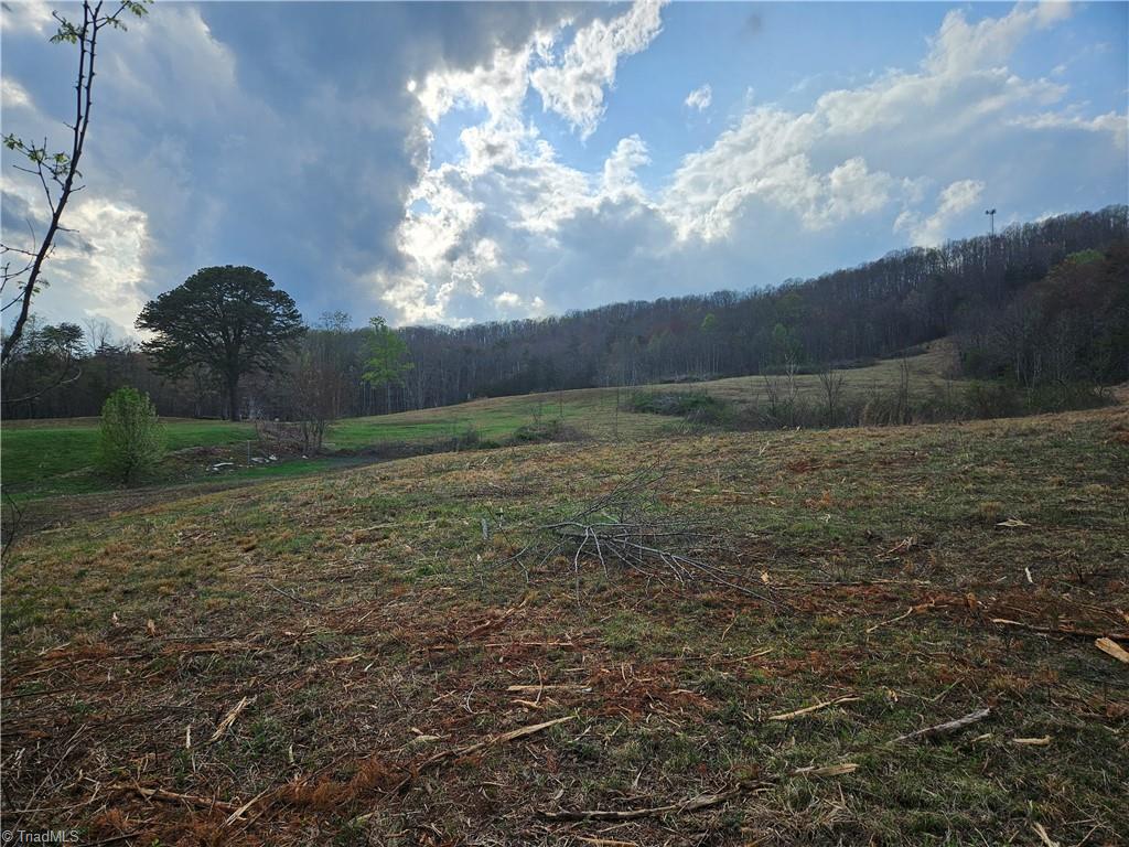 0 Blue Hollow Road, Unit 27 Mount Airy, NC 27030 - Photo 7 of 11