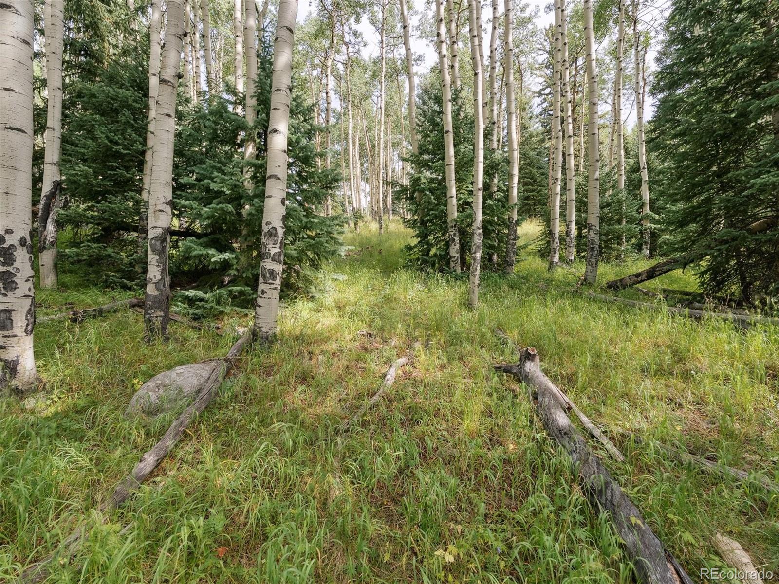 0 Snyder Mountain Road Evergreen, CO 80439 - Photo 34 of 46