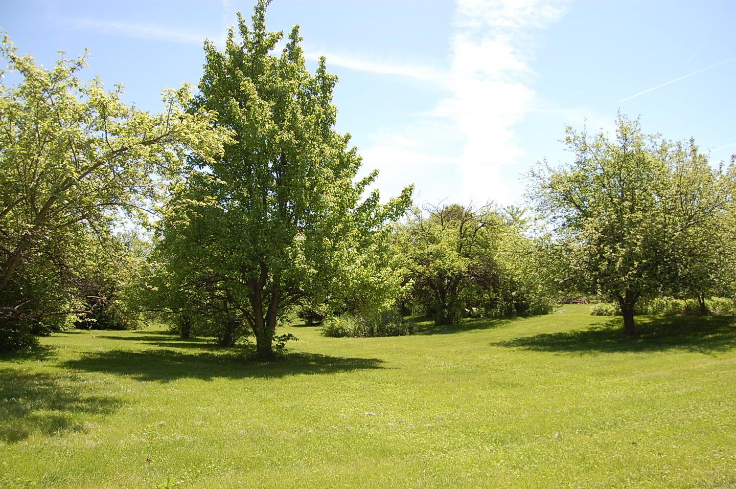 6203 Dublin Road Delaware, OH 43015 - Photo 5 of 21
