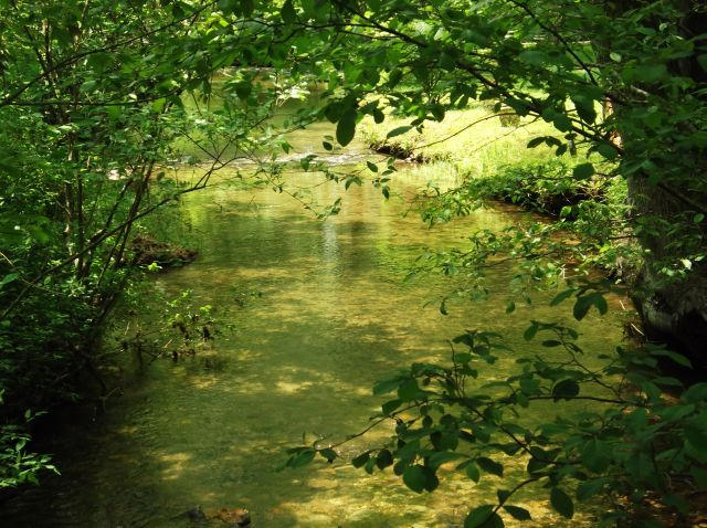 244 Smithfield Road Tellico Plains, TN 37385 - Photo 20 of 25 Stream#3